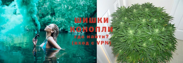 шишки Алексеевка