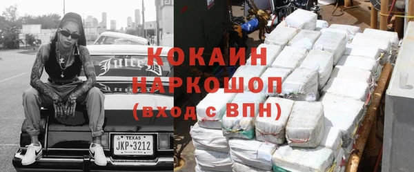 стаф Алзамай