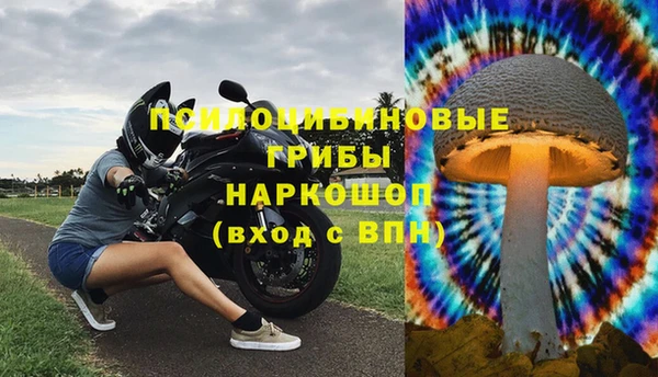 шишки Алексеевка
