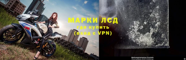 стаф Алзамай